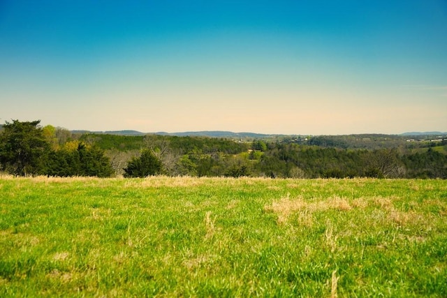 40 River Run Rd, Eureka Springs, AR 72632