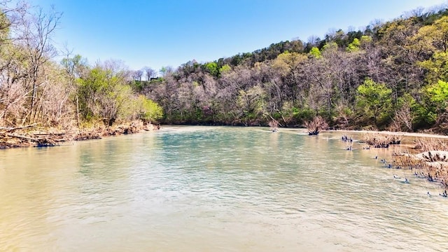 40 River Run Rd, Eureka Springs, AR 72632