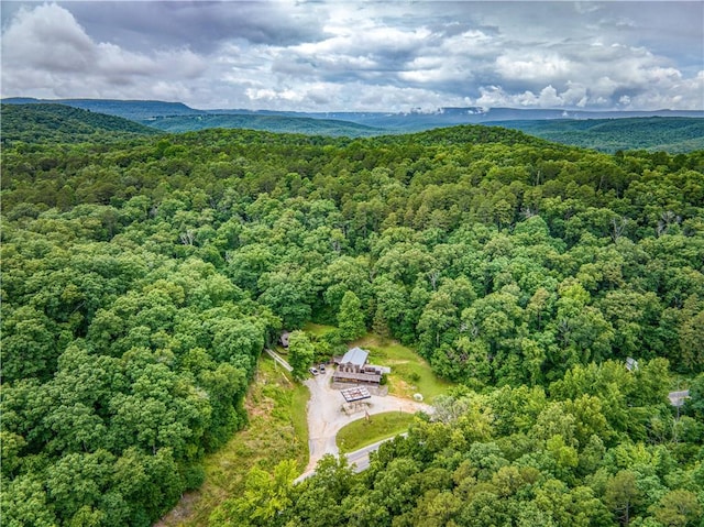 3451 Ar 7 Hwy N, Jasper, AR 72641 - photo 6