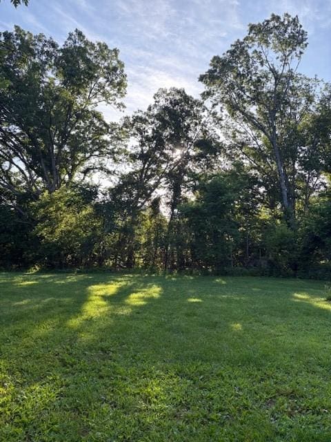 13364 Ventris Rd, Garfield, AR 72732 - photo 8