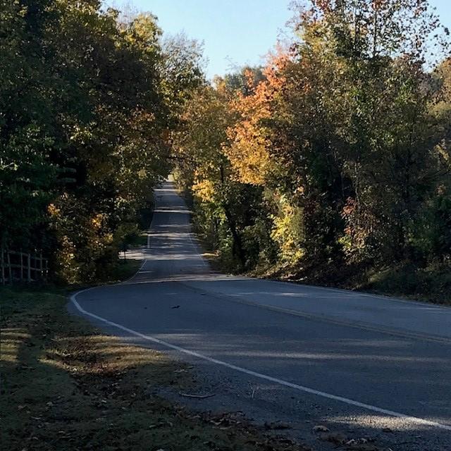 13364 Ventris Rd, Garfield, AR 72732 - photo 20