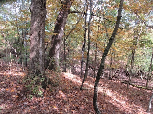 Paxos St, Eureka Springs, AR 72632