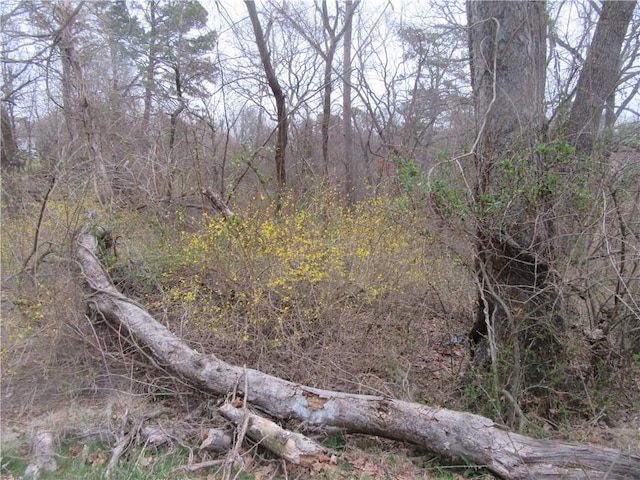 Paxos St, Eureka Springs, AR 72632