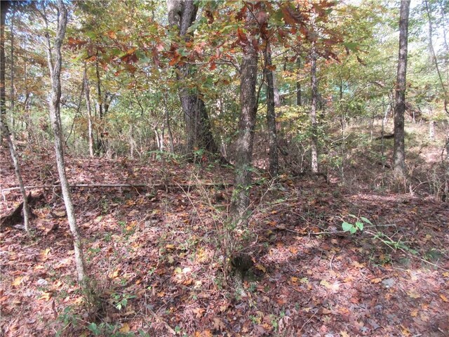 Paxos St, Eureka Springs, AR 72632