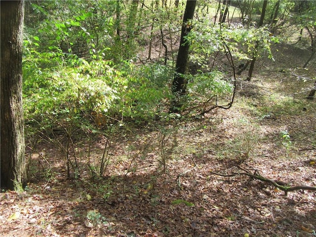 Paxos St, Eureka Springs, AR 72632