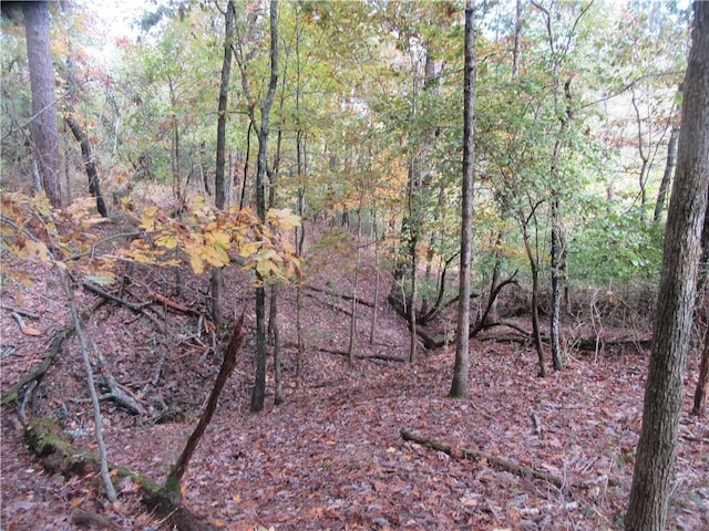 Paxos St, Eureka Springs, AR 72632