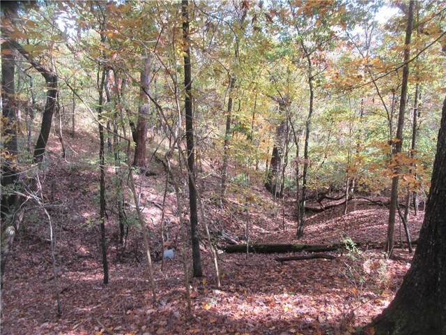 Paxos St, Eureka Springs, AR 72632