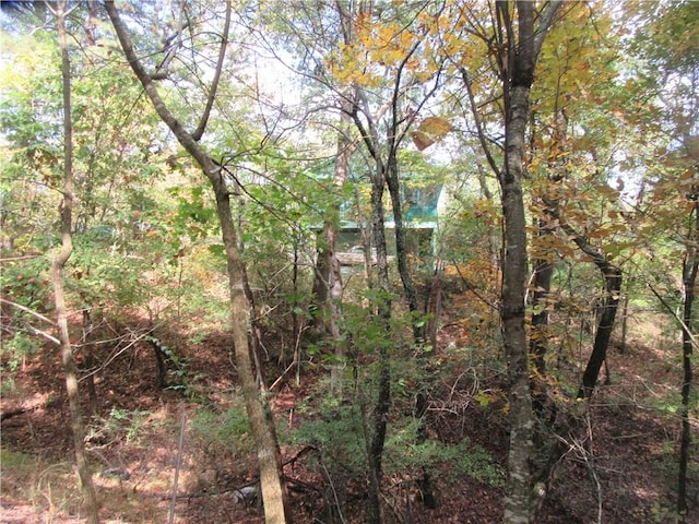 Paxos St, Eureka Springs, AR 72632