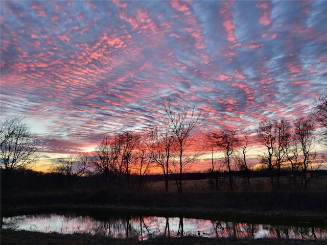 16000 Peterson Rd, Gentry, AR 72734 - water view