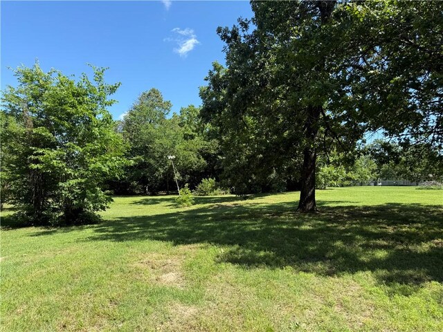 208 Mountain Ave, Berryville, AR 72616 - photo 8