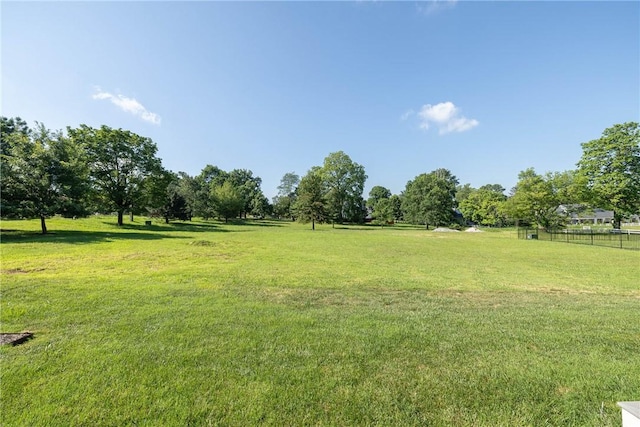 219 W Lawson St, Fayetteville, AR 72703 - photo 51