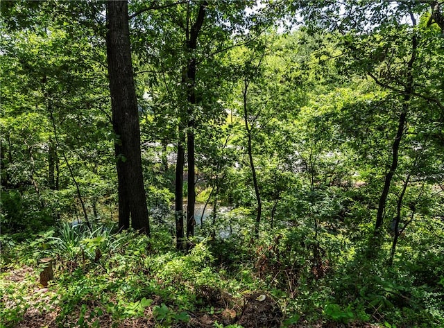 506 E Ashley St, Siloam Springs, AR 72761 - view of wooded area
