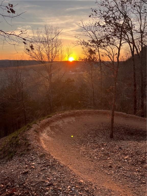 6 Upton Ln, Bella Vista, AR 72714 - photo 55