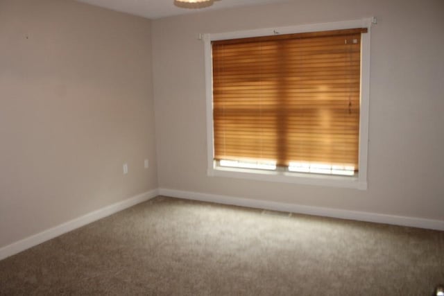 8296 W 14th Hwy, Omaha, AR 72662 - photo 29