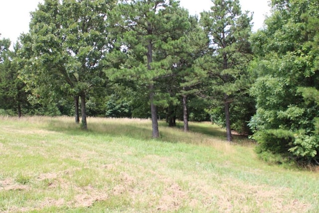 8296 W 14th Hwy, Omaha, AR 72662 - photo 60