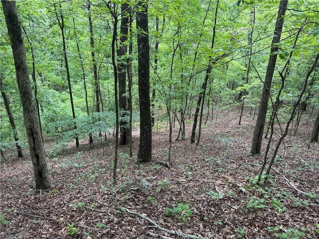 TRACT1 NC-7540, Ozone, AR 72854 - photo 1