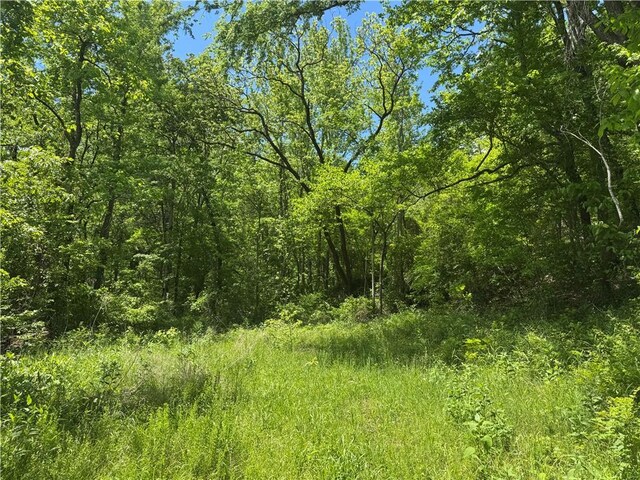 TRACT1 NC-7540, Ozone, AR 72854 - photo 3