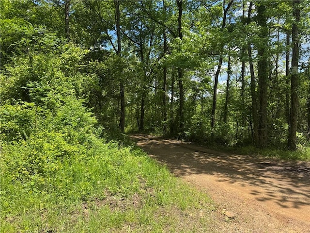 TRACT1 NC-7540, Ozone, AR 72854 - photo 4
