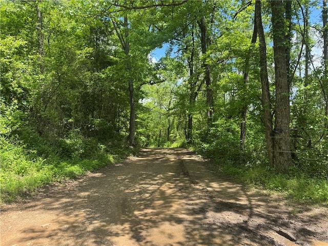 TRACT1 NC-7540, Ozone, AR 72854 - photo 5