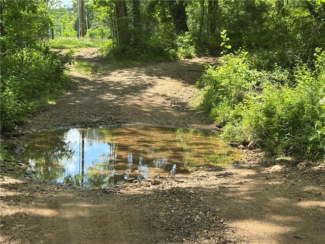 TRACT1 NC-7540, Ozone, AR 72854 - photo 6