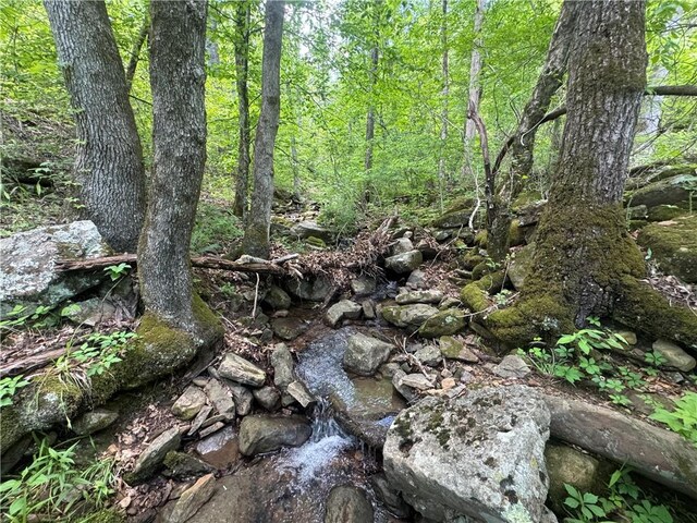 TRACT1 NC-7540, Ozone, AR 72854 - photo 9