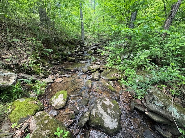 TRACT1 NC-7540, Ozone, AR 72854 - photo 10