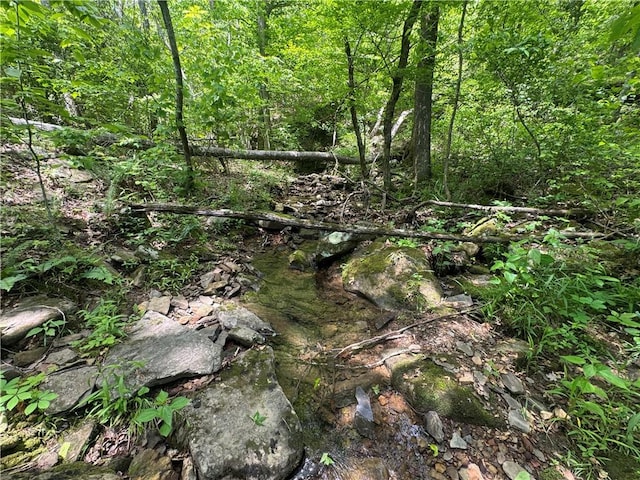 TRACT1 NC-7540, Ozone, AR 72854 - photo 11