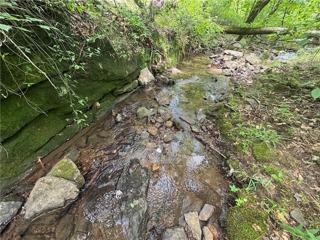 TRACT1 NC-7540, Ozone, AR 72854 - photo 13