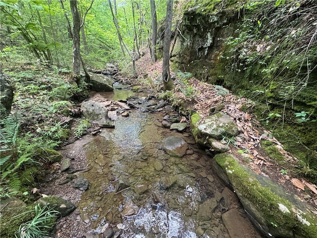 TRACT1 NC-7540, Ozone, AR 72854 - photo 14