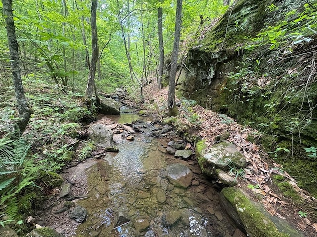 TRACT1 NC-7540, Ozone, AR 72854 - photo 15