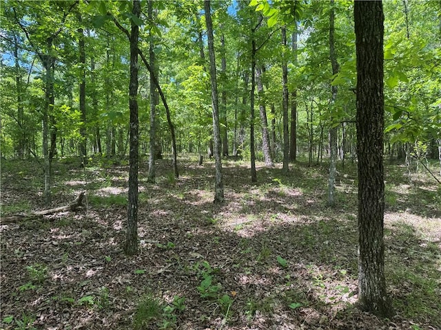 TRACT1 NC-7540, Ozone, AR 72854 - photo 17