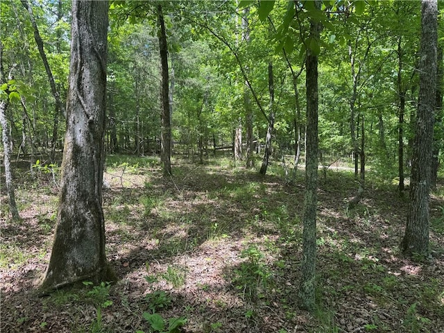 TRACT1 NC-7540, Ozone, AR 72854 - photo 18