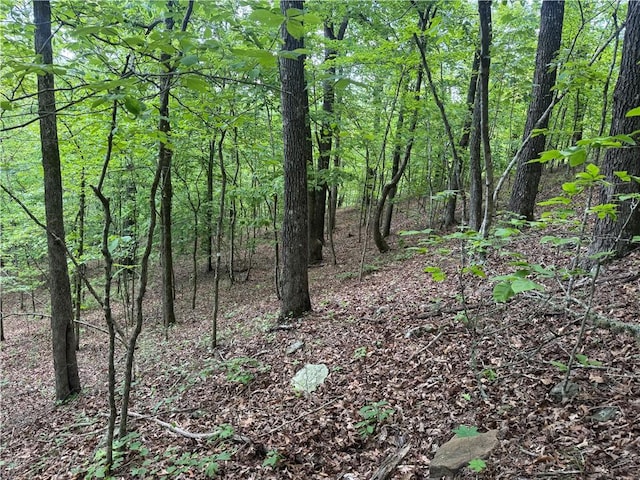 TRACT1 NC-7540, Ozone, AR 72854 - photo 19