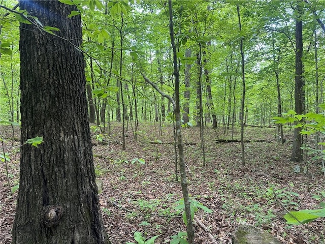 TRACT1 NC-7540, Ozone, AR 72854 - photo 20