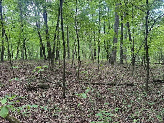 TRACT1 NC-7540, Ozone, AR 72854 - photo 21
