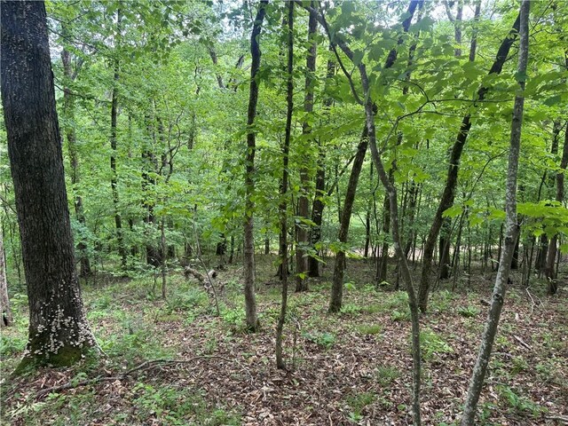 TRACT1 NC-7540, Ozone, AR 72854 - photo 22