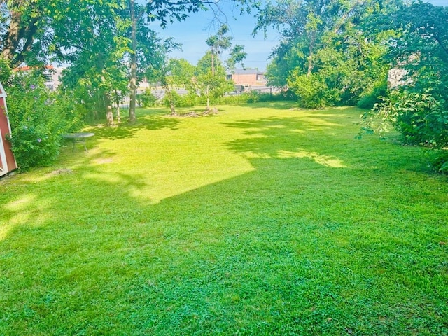 1016 S 4th St, Rogers, AR 72756 - view of grassy yard