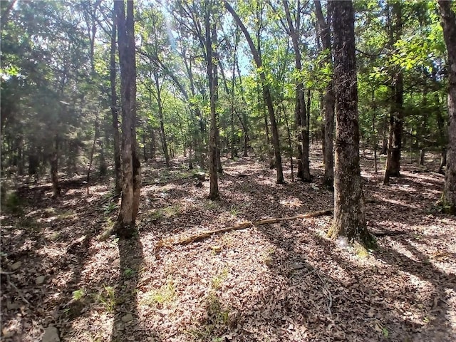 TBD Madison 2149, Huntsville, AR 72740