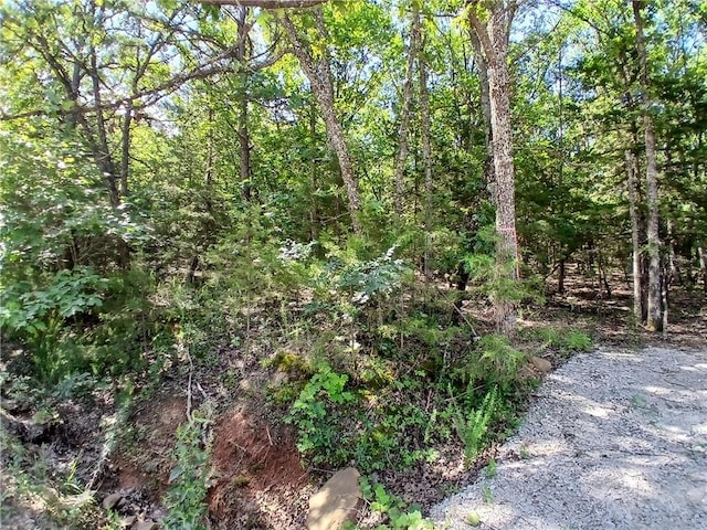 TBD Madison 2149, Huntsville, AR 72740