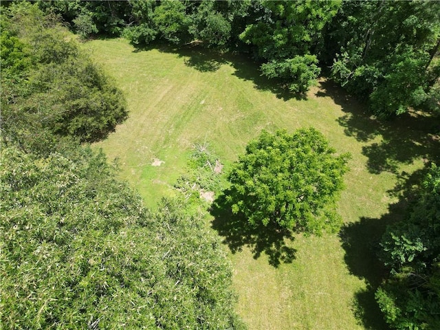 7975 NC-7540, Ozone, AR 72854 - photo 53