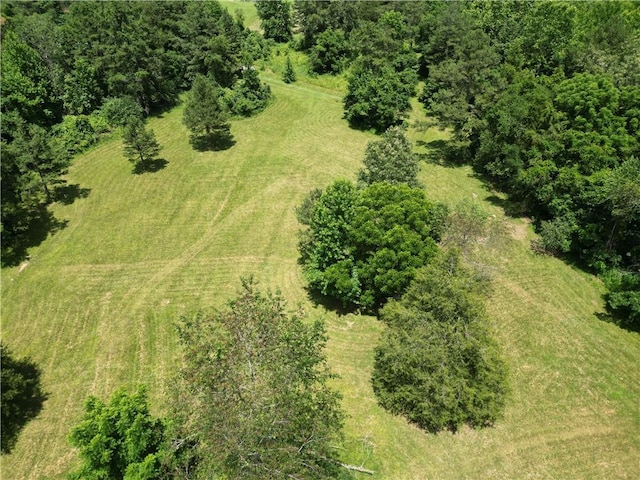 7975 NC-7540, Ozone, AR 72854 - photo 54