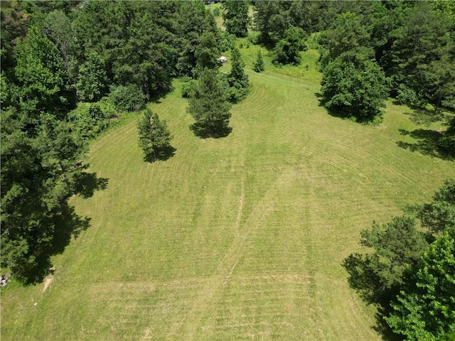 7975 NC-7540, Ozone, AR 72854 - photo 56