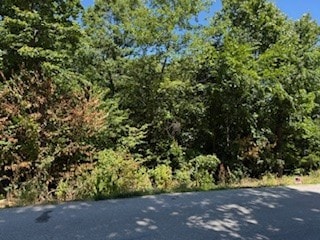 LOT19 Harrington Dr, Bella Vista, AR 72714 - photo 2