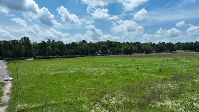 00000 Hurley, Dover, AR 72837 - photo 3