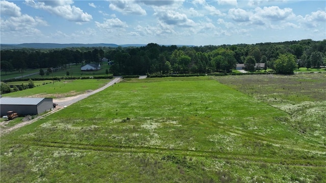 00000 Hurley, Dover, AR 72837 - photo 9