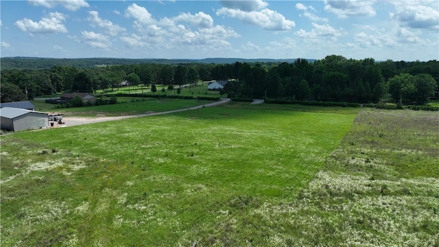 00000 Hurley, Dover, AR 72837 - photo 10