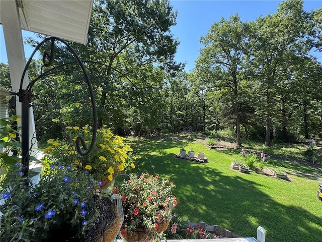7201 County Road 25, Mountain Home, AR 72653 - photo 19