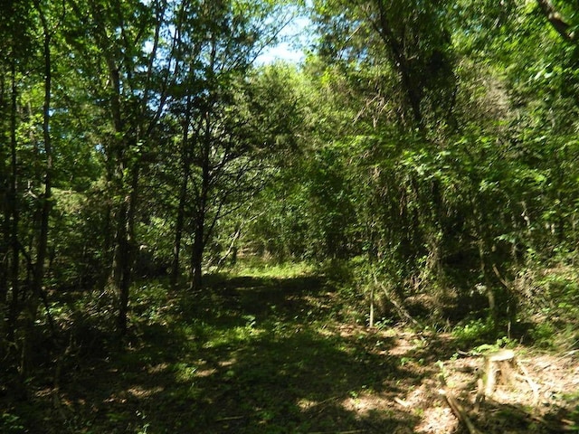 13184 Cove Crk, Prairie Grove, AR 72753 - photo 1