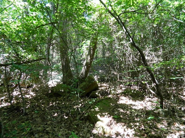 13184 Cove Crk, Prairie Grove, AR 72753 - photo 2