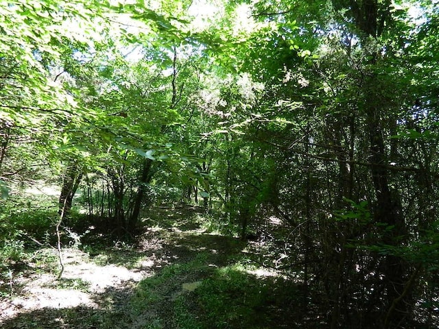 13184 Cove Crk, Prairie Grove, AR 72753 - photo 3